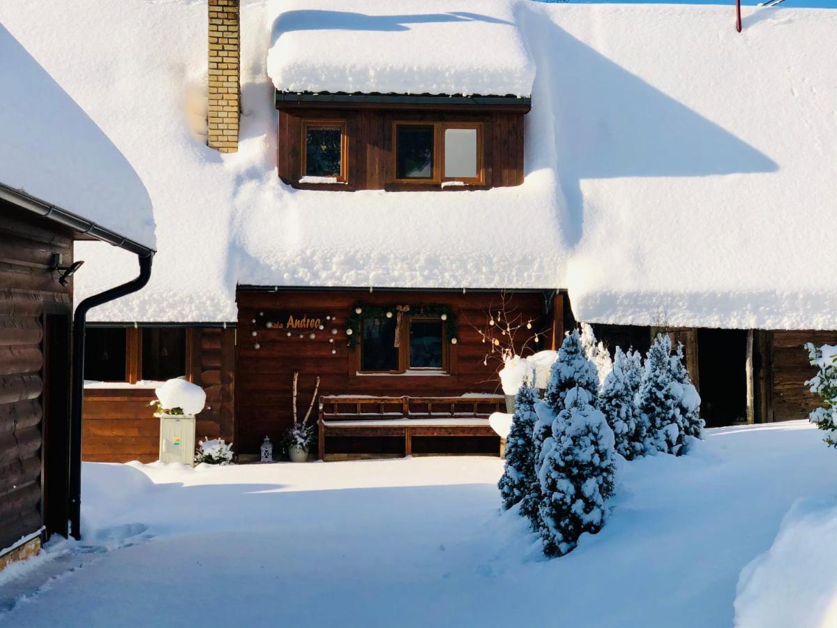 Andrea- Neakceptujeme Mlade Partie Villa Terchova Bagian luar foto